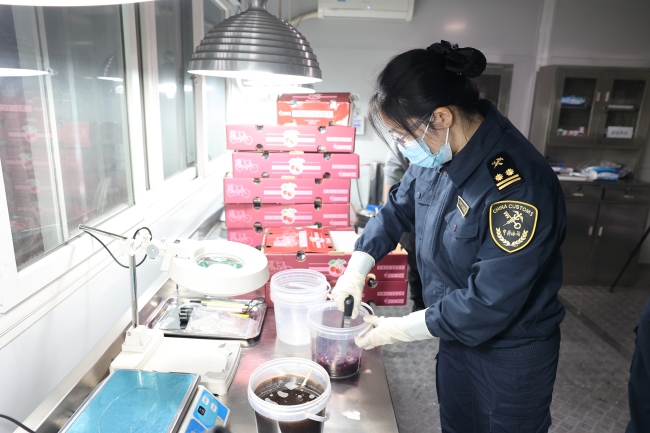 双流机场海关检验车厘子。双流区委宣传部供图