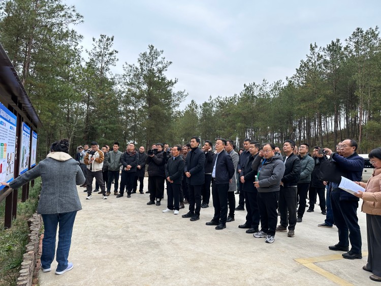 与会嘉宾参观考察昭化茯苓种植基地。高志农摄