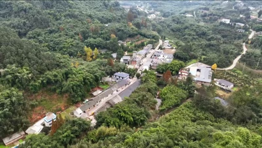 天池村全貌。罗宇豪摄