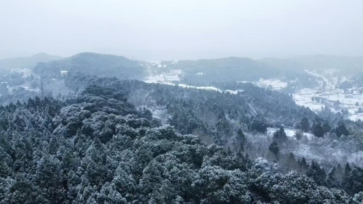 俯瞰雪景中的翠云廊。张斯前供图