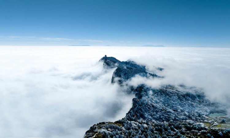 雲海裡的峨眉山。主辦方供圖