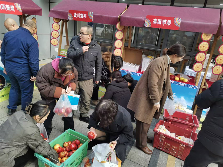 市民选购高原苹果。主办方供图