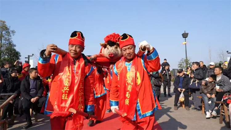年猪巡游。昭化区融媒体中心供图