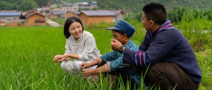 代表履职故事：飞在田间地头的“小燕子”