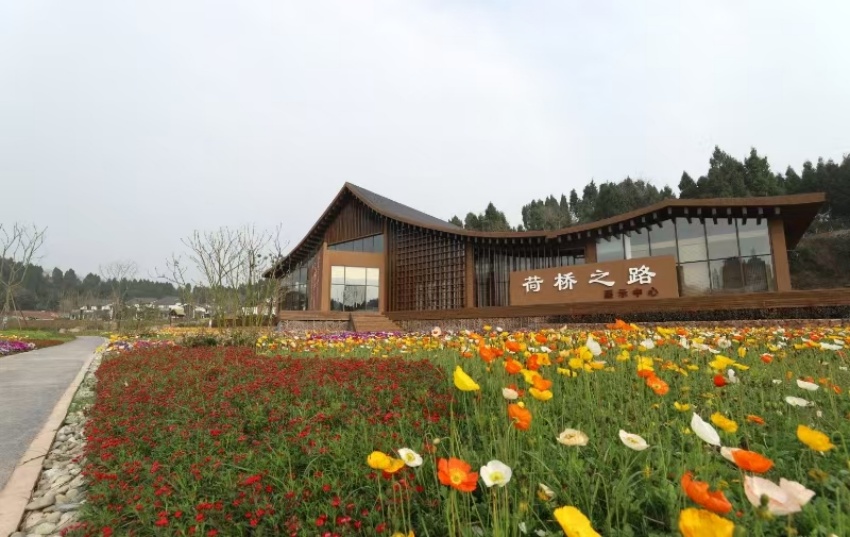 荷桥村。荷桥村供图