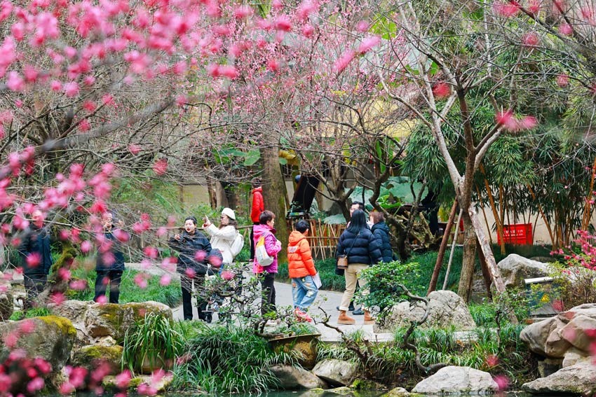 草堂到处是美景，游客随地都开心。杜甫草堂供图