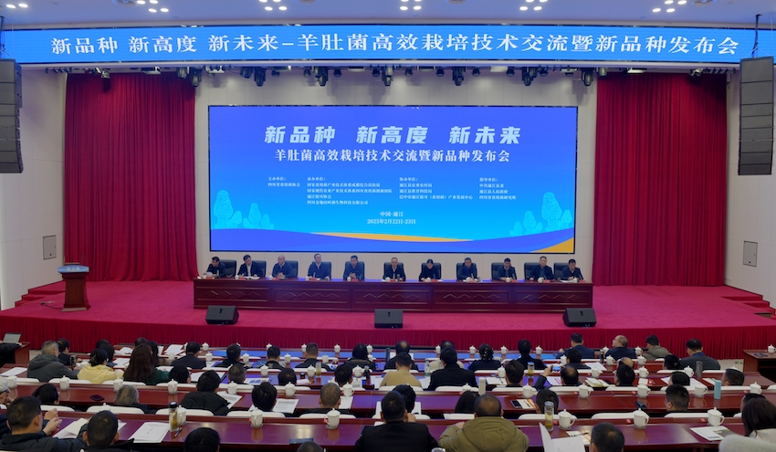 发布会。通江县委宣传部供图