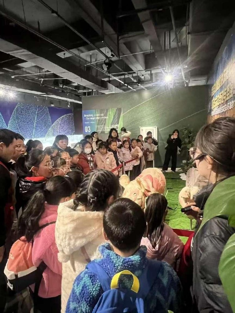 学生在成都生命奥秘博物馆研学。陈静供图
