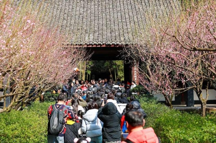 游客在杜甫草堂博物馆。陈静供图