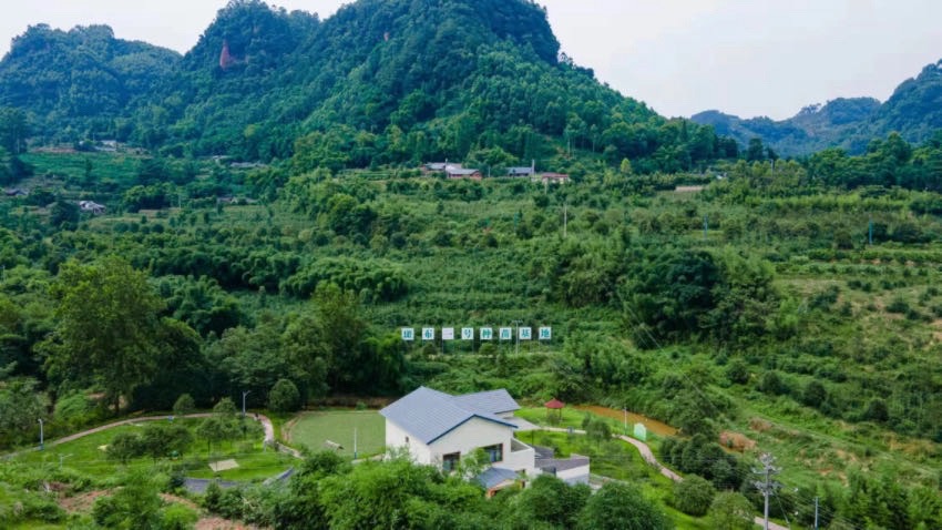 斑布一号种苗基地。青神县林业园林局供图