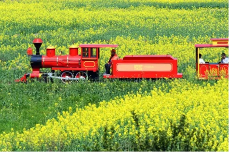 坐在小“火車”賞花。成都市文廣旅局供圖