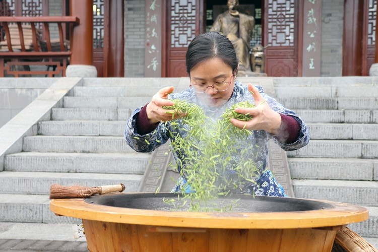 陈翠琪正在制茶。绵竹市融媒体中心供图