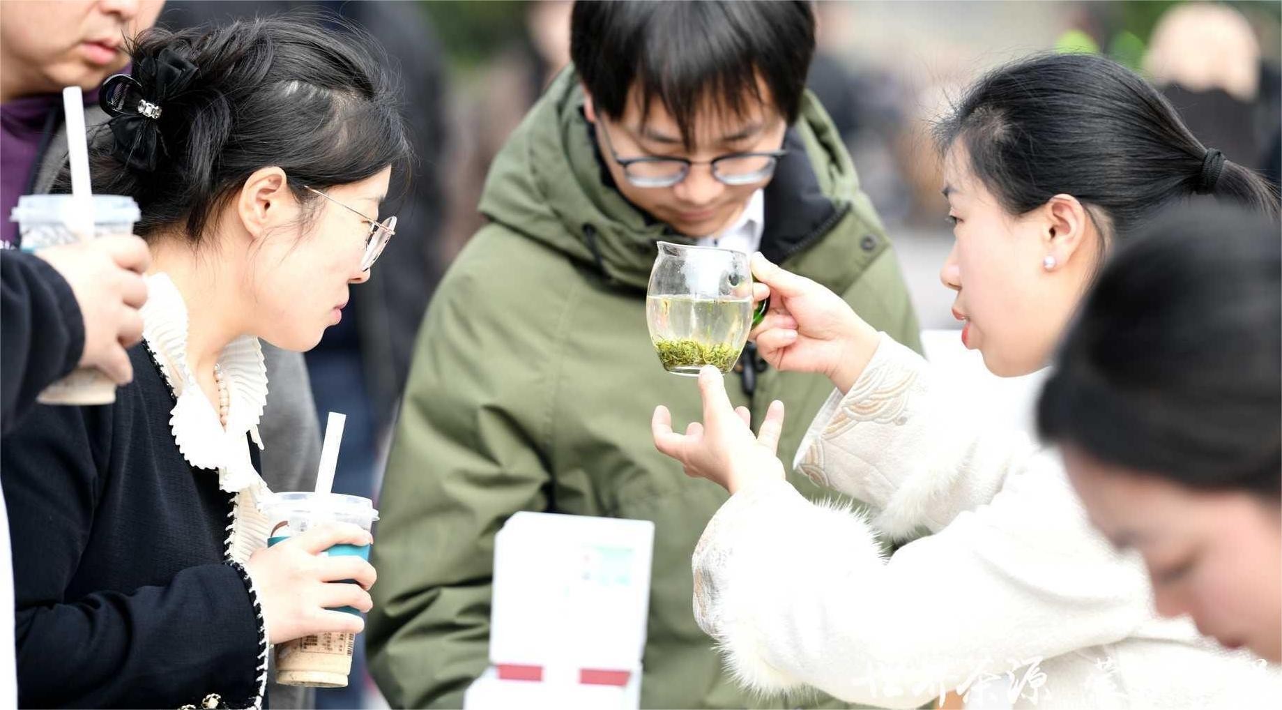 市民观察刚泡出来的茶汤。主办方供图