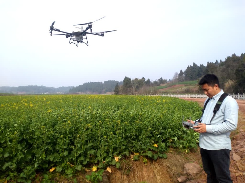 刘青平操作无人机开展施肥作业。姚阳摄