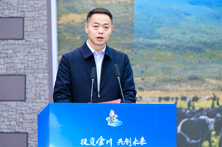 推介现场。主办方供图