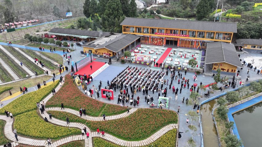 无人机俯瞰花仙谷农旅园区一角，数万株郁金香竞相绽放。张平摄