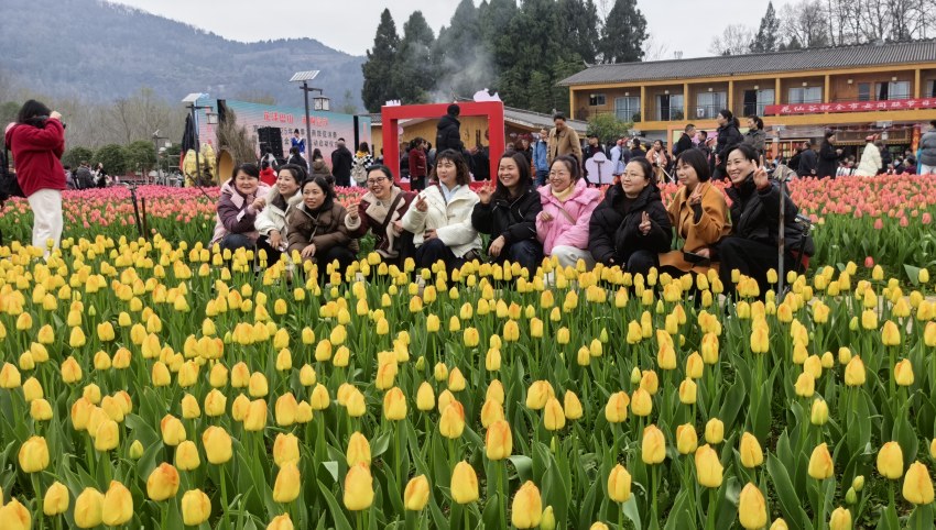 游客在郁金香花海中合影。张平摄