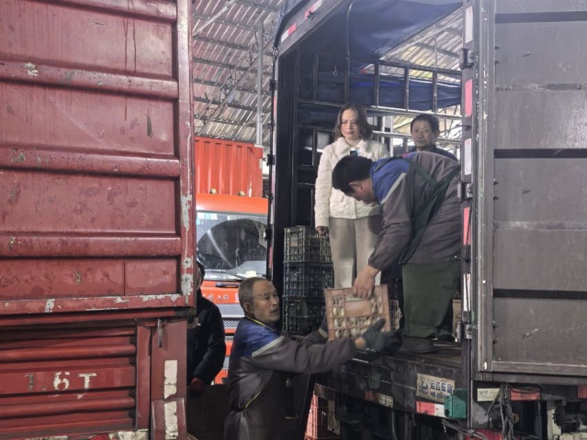 邓长素正在指挥工人们把打包好的鸭蛋装车。贺云摄