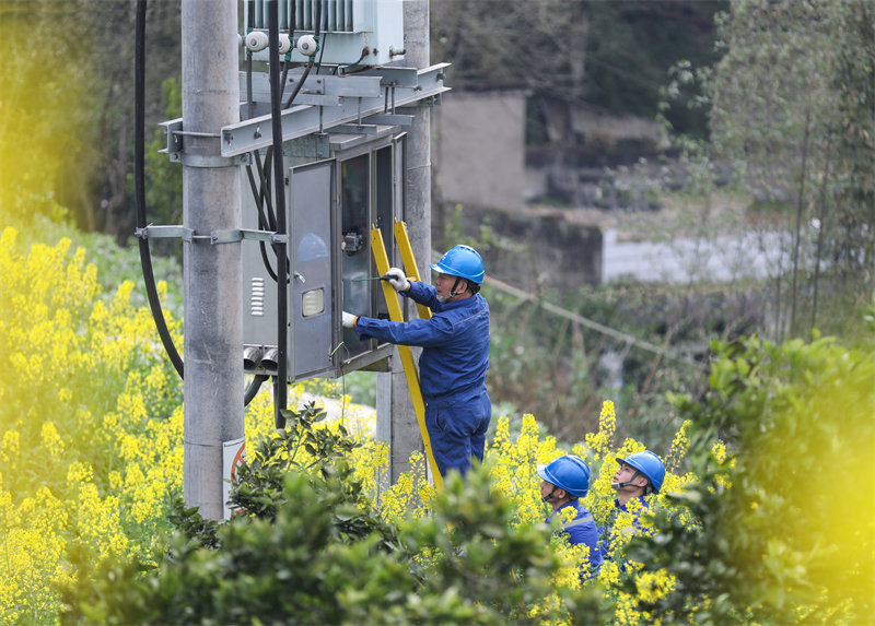 工作人员在田间进行安全检查。