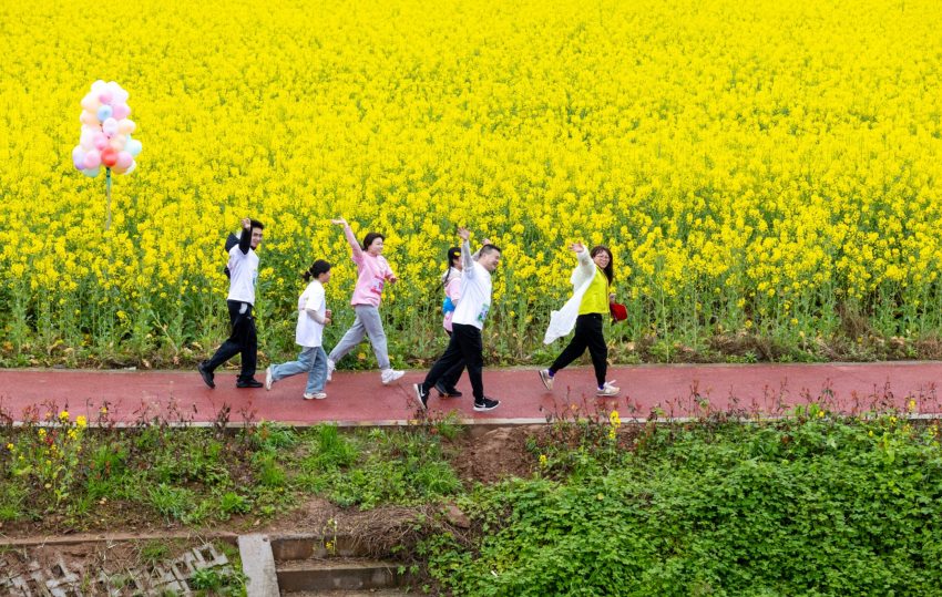 不少家庭集体参与“村跑”，在美好春光中共享亲子时光。 侯建明摄