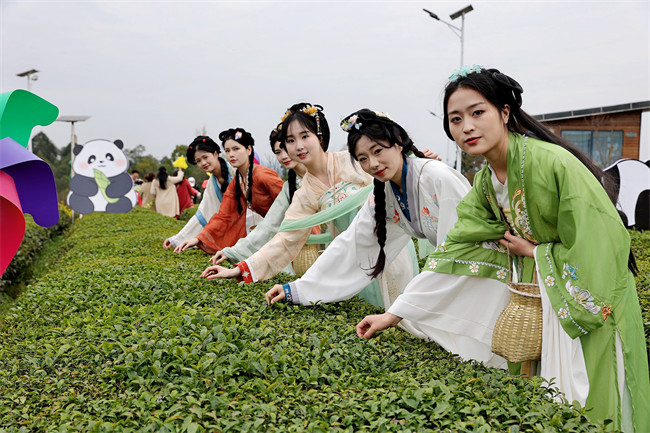 体验茶园汉服拍照打卡。荣县县委宣传部供图