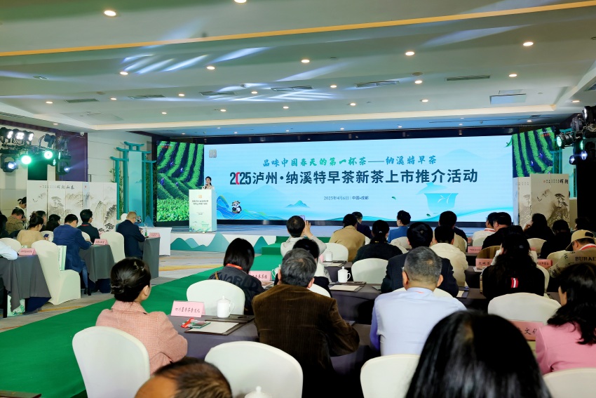 活动现场。主办方供图