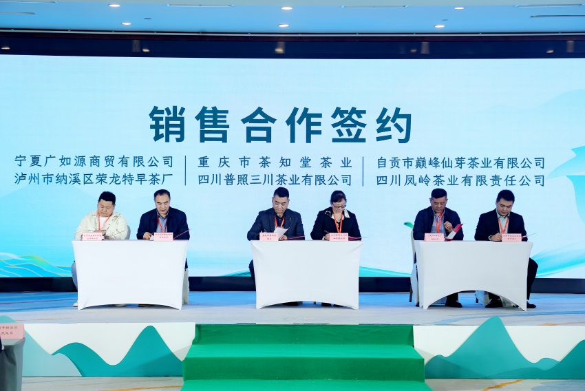 现场签约。主办方供图