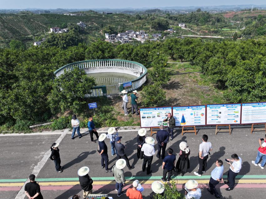 中省媒体深入青神县高台镇百家池村果园采访全域现代化灌溉整县推进的情况 。古良驹摄