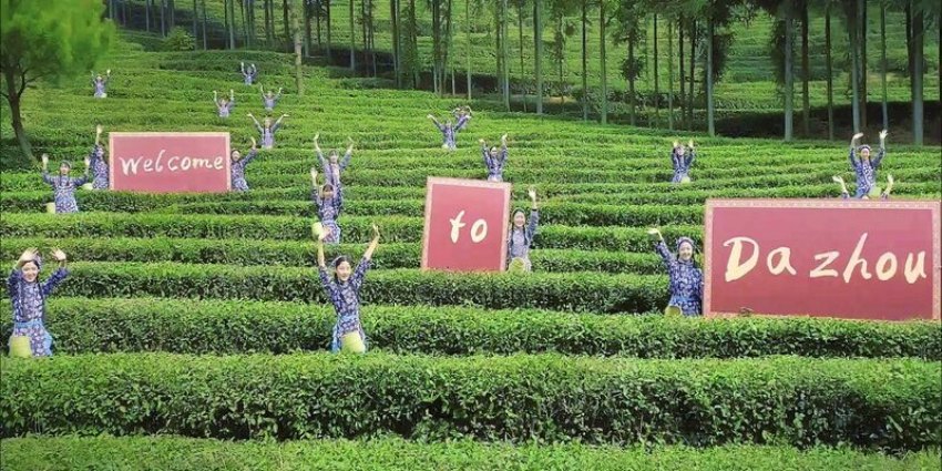 达州的富硒茶。达州市委宣传部供图