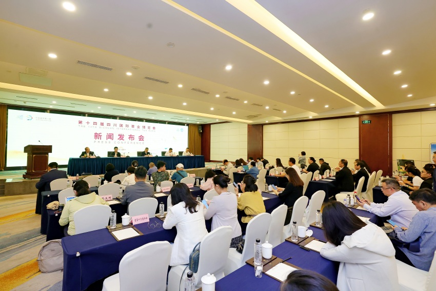 新聞發布會現場。主辦方供圖