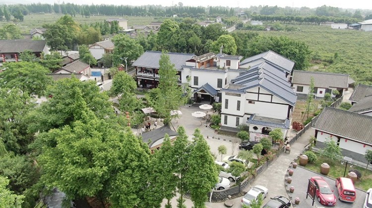 九龙镇棚花村。绵竹市融媒体中心供图