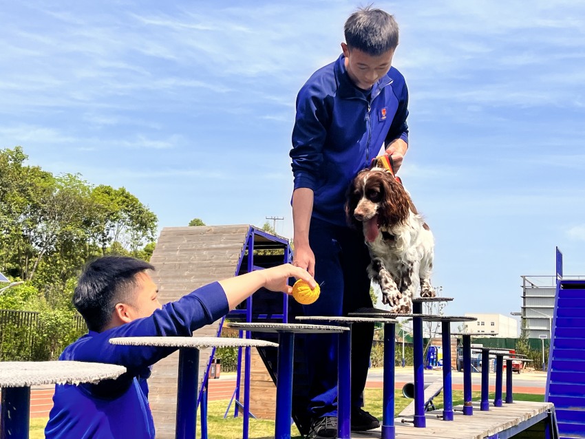 犬只繁育与幼犬喂养培训现场。眉山天府新区消防救援大队供图
