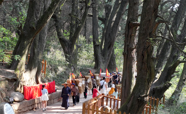 翠雲廊景區再現古蜀道上繁榮景象。劍閣縣委宣傳部供圖