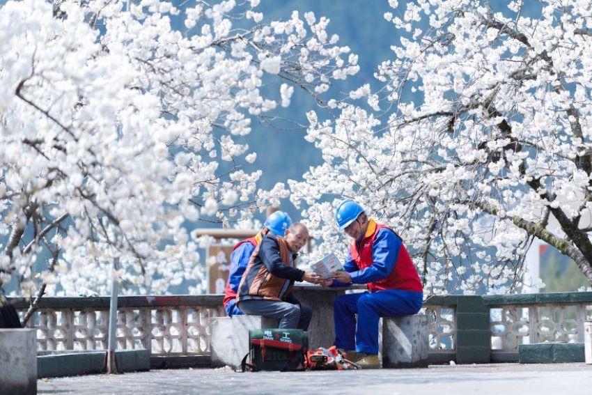 2024年3月13日，国网四川电力（广元）连心桥共产党员服务队在广元市朝天区沙河镇，帮助当地农家乐排查、消除用电隐患故障，同时宣传安全用电注意事项，助力当地农户增收致富。张超摄