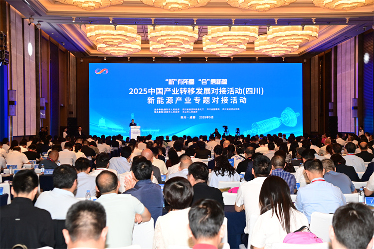 活动现场。主办方供图