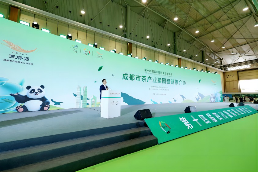 活动现场。主办方供图
