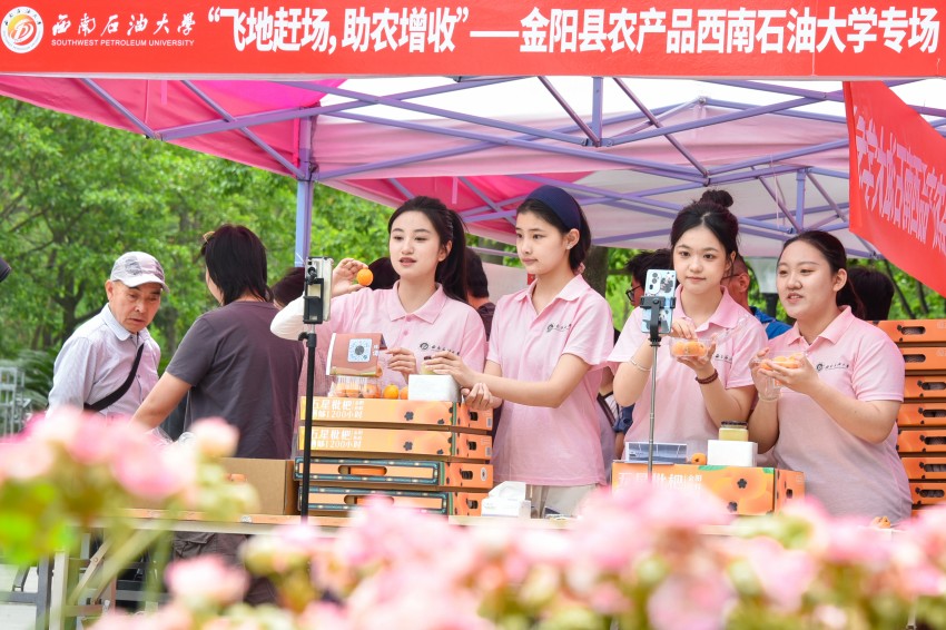 西南石油大學學生化身主播，在線上直播助農銷售枇杷。西南石油大學供圖