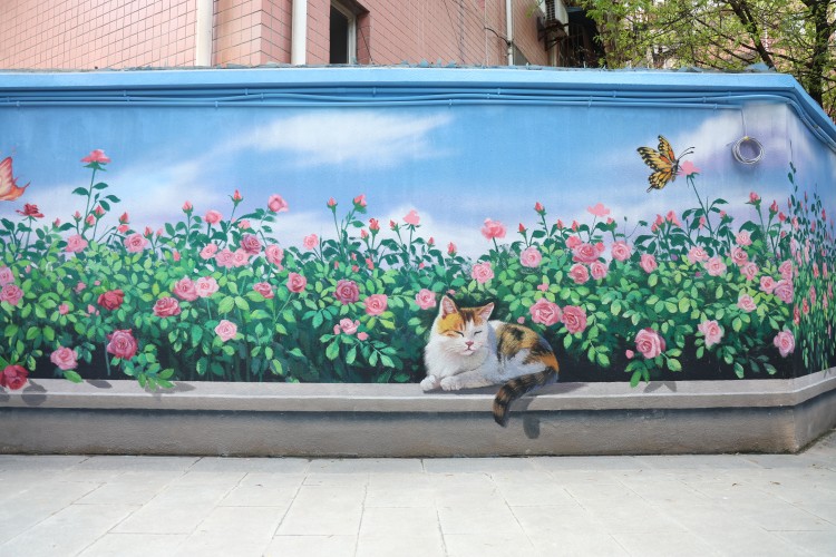小区外的“花丛小猫”。翠屏区融媒体中心供图