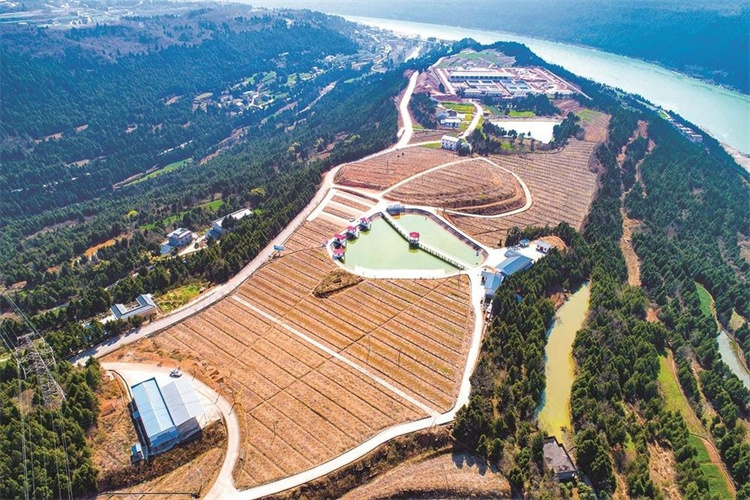 苍溪县浙水乡寨坪村集体经济园全貌。广元市融媒体中心供图