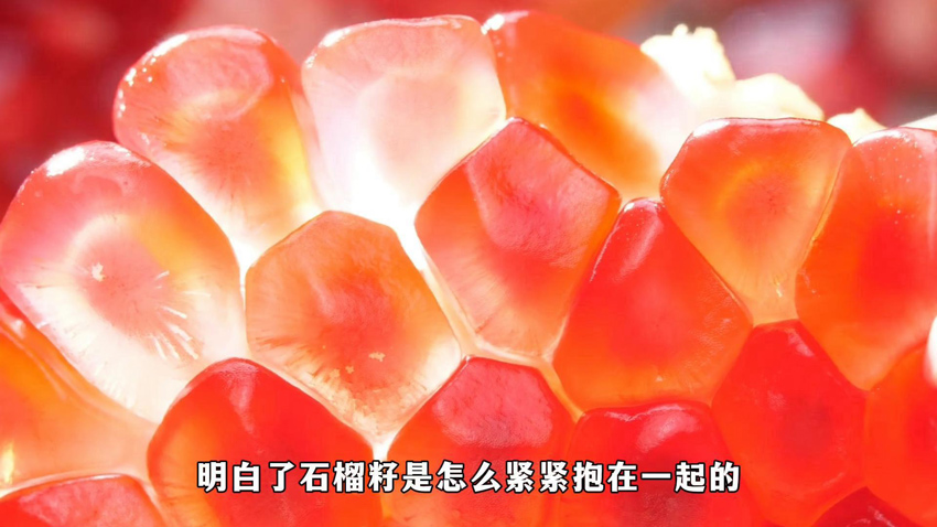 石榴籽緊緊抱在一起，中華民族緊緊團結在一起。受訪者供圖