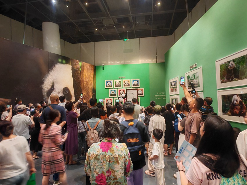 “自然谜语·博物致知”——518走进成都自然博物馆系列主题活动。主办方供图