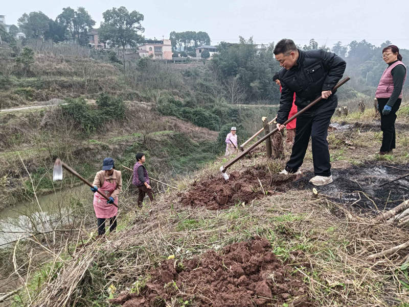 駐村人員帶領村民在產業園區內勞作。鄭嬋娟攝
