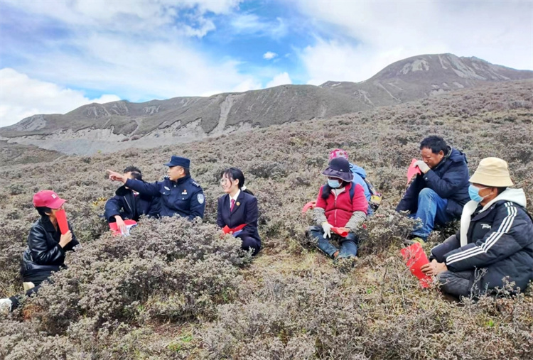 虫草山普法宣传活动现场。九龙检察院供图