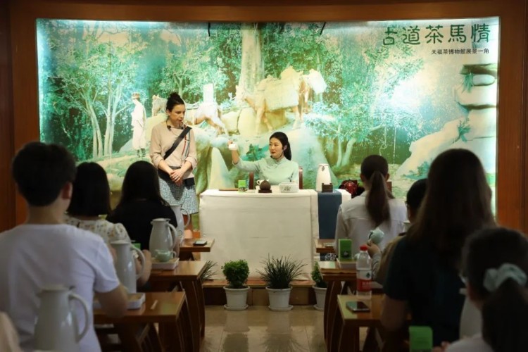感受茶文化。夾江縣融媒體中心供圖