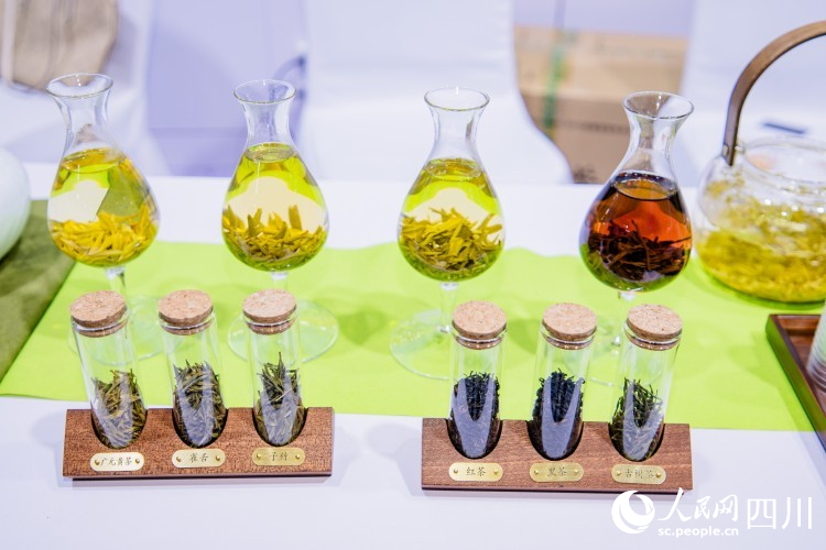 广元茶展示。人民网记者 王波摄