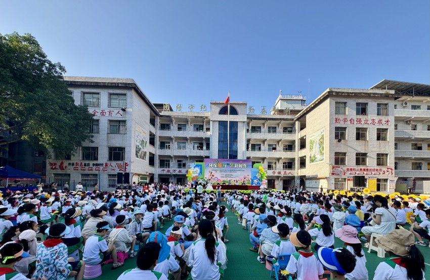 活动现场。张凤莉供图