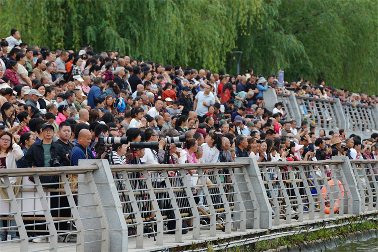 市民游客觀看現場。張越供圖