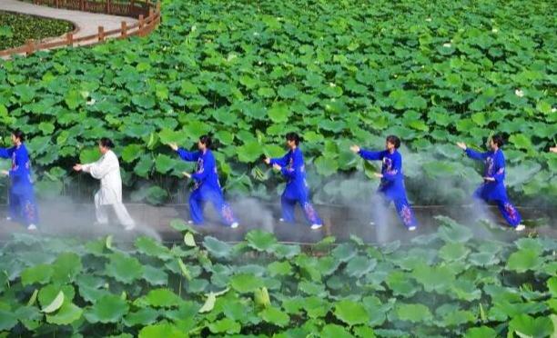 沉浸式中医药文旅体验活动在荷塘间打太极拳，在花丛中学八段锦，在药田里包中药粽……这些既酷又时尚的活动，在乡村刮起一股“国潮风”。
