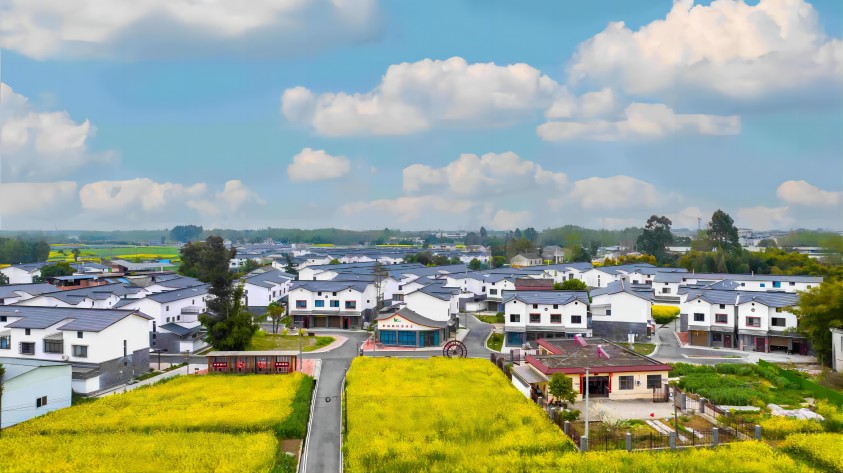優美的新福社區。成都市農業農村局供圖