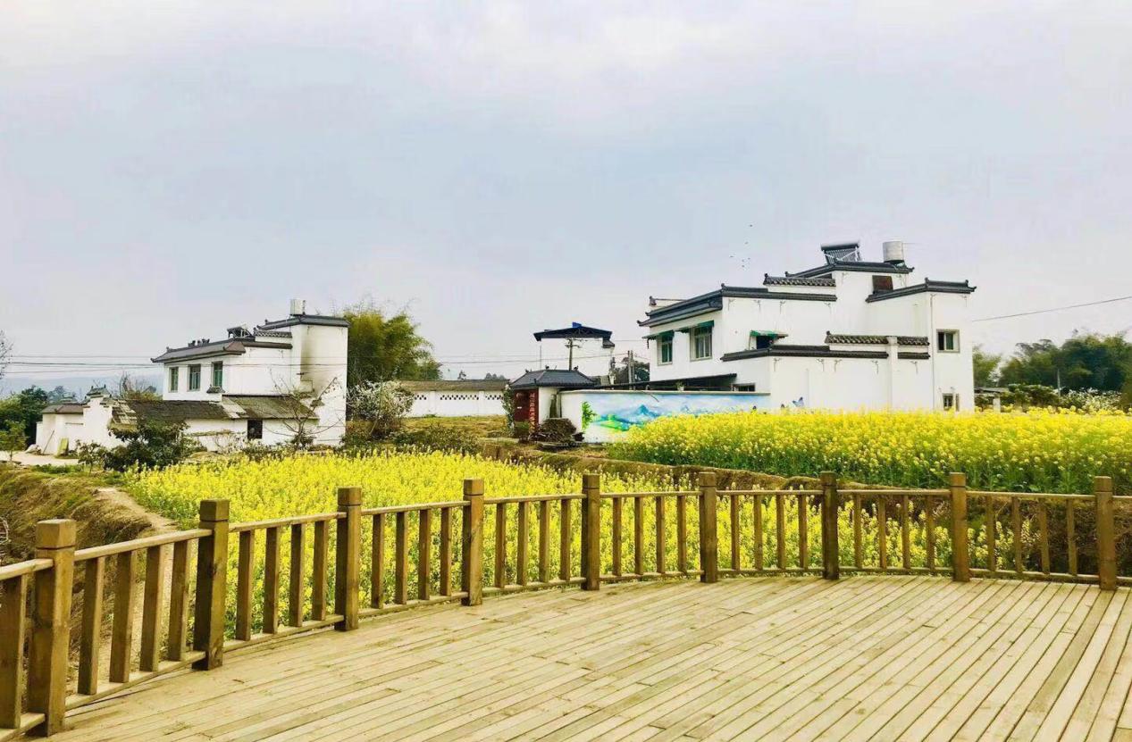 新兴茅香村